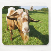 Ziege - Mousepad (Vorne)