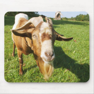 Ziege - Mousepad