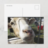 Ziege Nah hoch Postkarte (Vorne/Hinten)
