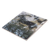 Ziege oder Gämse, Felsenmalerei im schwarzen Raum, Fliese (Seite)