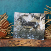 Ziege oder Gämse, Rockmalerei im Schwarzen Raum, Fotoplatte (Seite)