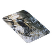 Ziege oder Gämse, Rockmalerei im Schwarzen Raum, Magnet (Rechte Seite)