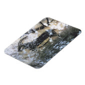 Ziege oder Gämse, Rockmalerei im Schwarzen Raum, Magnet (Linke Seite)