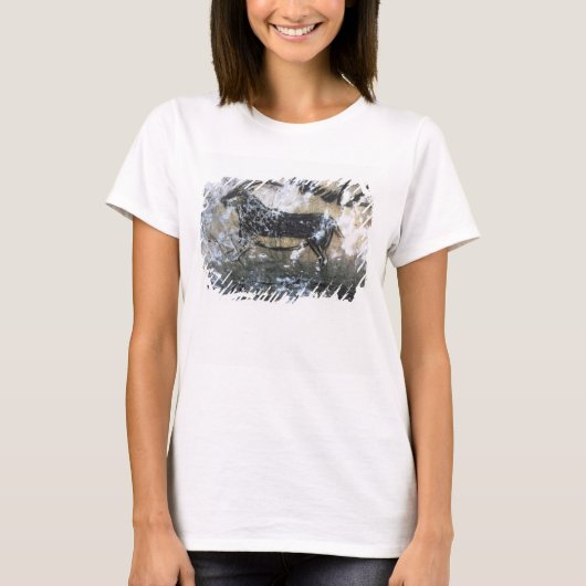 Ziege oder Gämse, Rockmalerei im Schwarzen Raum, T-Shirt (Vorderseite)