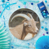 Ziege Pappteller (Party)