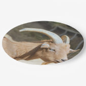 Ziege Pappteller (Schrägansicht)