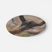 Ziege Pappteller (Schrägansicht)