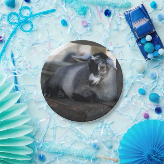 Ziege Pappteller (Party)