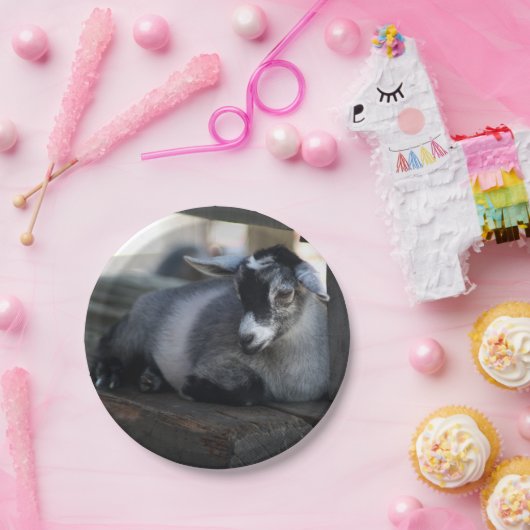 Ziege Pappteller (Party)