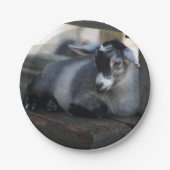 Ziege Pappteller (Vorderseite)