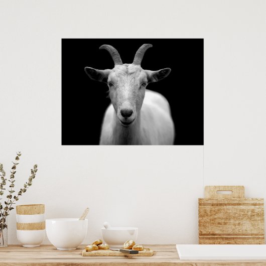 Ziege Poster (Küche)