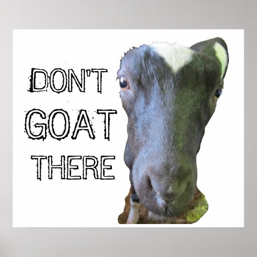 Ziege-Poster "GOAT DORT NICHT" Poster (Vorne)