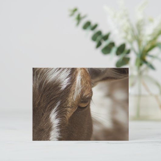Ziege Postkarte (Stehend Vorderseite)