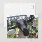 Ziege Postkarte (Vorne/Hinten)