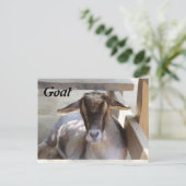 Ziege Postkarte (Stehend Vorderseite)