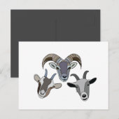 Ziege Postkarte (Vorne/Hinten)