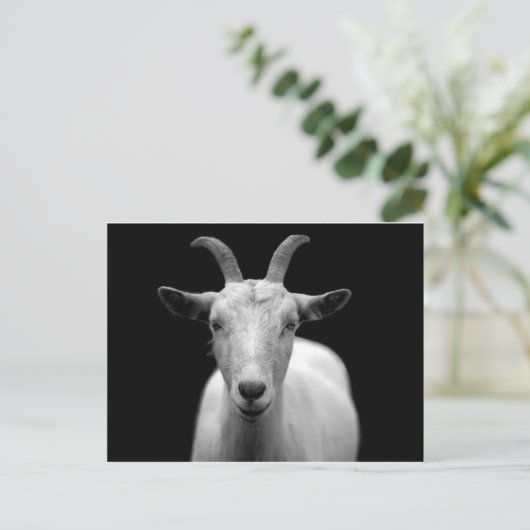 Ziege Postkarte (Stehend Vorderseite)