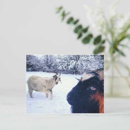 Ziege Power Postkarte (Stehend Vorderseite)