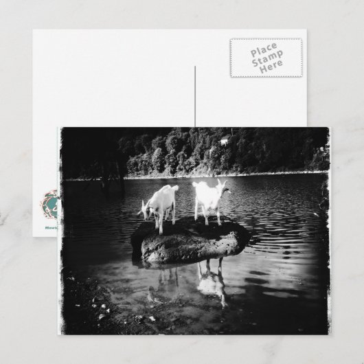 Ziege Power Postkarte (Vorne/Hinten)