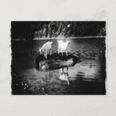 Ziege Power Postkarte (Vorderseite)