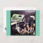 Ziege Power Team Postkarten (Vorne/Hinten)