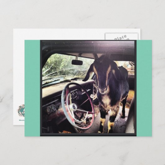 Ziege Power Team Postkarten (Vorne/Hinten)