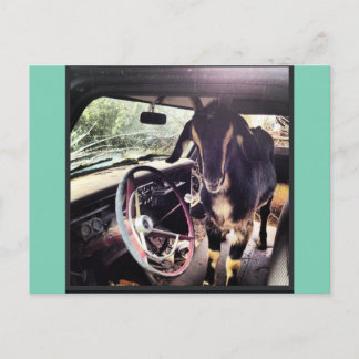 Ziege Power Team Postkarten