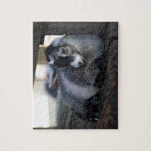 Ziege Puzzle (Vertikal)