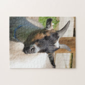 ZIEGE PUZZLE (Horizontal)