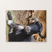 ZIEGE PUZZLE (Horizontal)