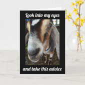 ZIEGE SAGT: "GEHEN SIE AUS UND FEIERN **60.** GEBU KARTE (Gelbe Blume)