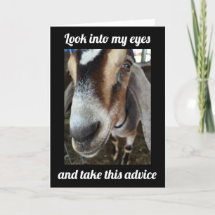 ZIEGE SAGT: "GEHEN SIE AUS UND FEIERN **60.** GEBU KARTE