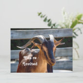 Ziege Schwarzbraune Hörner Tierisches Foto Geburts Einladung (Stehend Vorderseite)