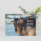 Ziege Schwarzen Braunen Foto Geburtstag Einladung (Stehend Vorderseite)