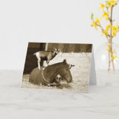 Ziege Stehend auf Pferd Karte (Gelbe Blume)