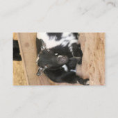 Ziege Visitenkarte (Rückseite)