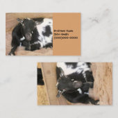 Ziege Visitenkarte (Vorne/Hinten)