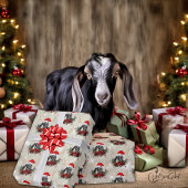 Ziege Weihnachten Niedliche Nubian Baby Goat in An Geschenkpapier