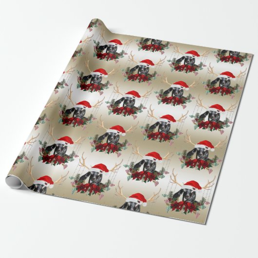Ziege Weihnachten Niedliche Nubian Baby Goat in An Geschenkpapier (Ungerollt)