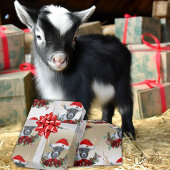 Ziege Weihnachten Niedliche Pygmy Baby Goat in Ant Geschenkpapier