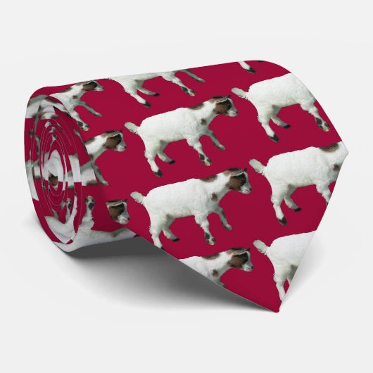 Ziege, Ziege… Krawatte (Gerollt)