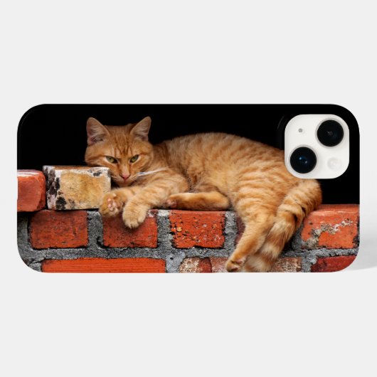 Ziegelmauer Case-Mate iPhone Hülle (Rückseite (Horizontal))
