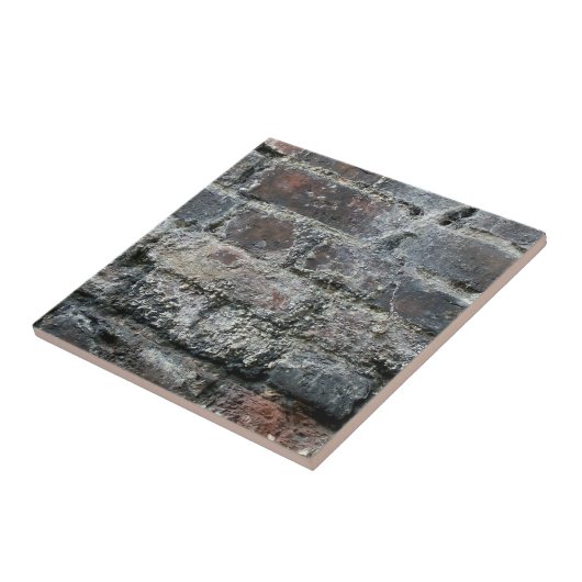 Ziegelmauer Fliese (Seite)