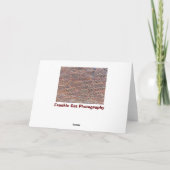 Ziegelmauer Karte (Rückseite)