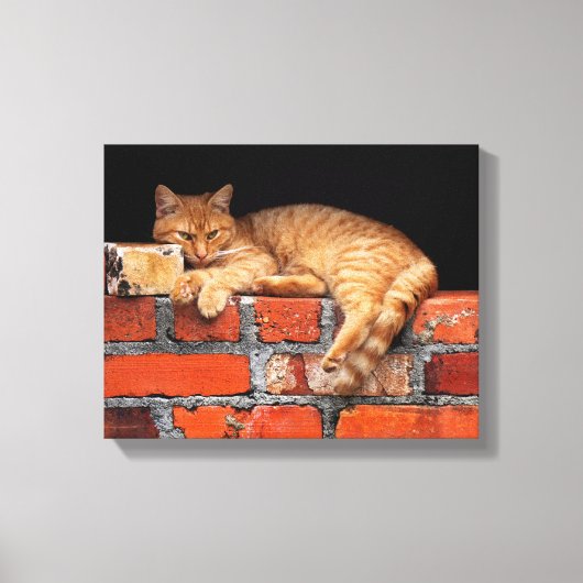 Ziegelmauer Leinwanddruck (Vorderseite)