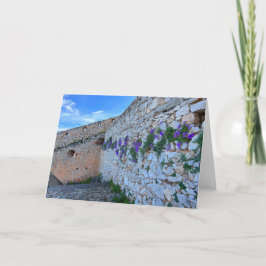 Ziegelmauer mit violetten Blumen Nafplion Griechen Karte