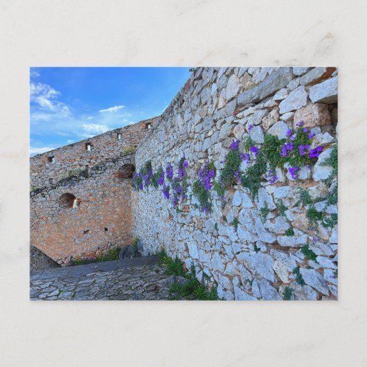 Ziegelmauer mit violetten Blumen Nafplion Griechen Postkarte (Vorderseite)