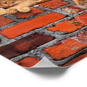 Ziegelmauer Poster (Ecke)