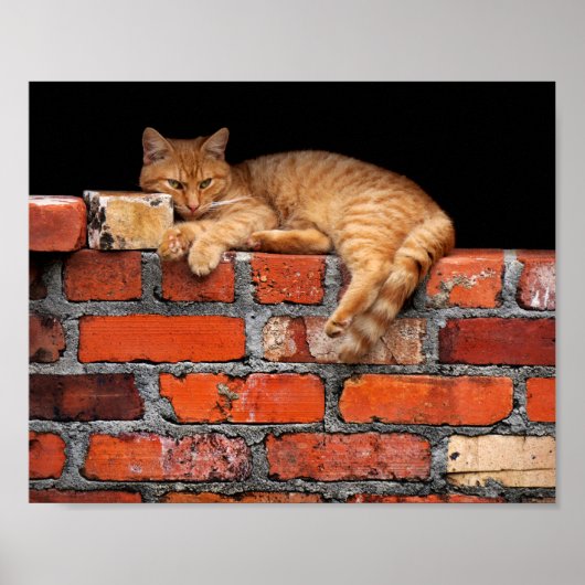 Ziegelmauer Poster (Vorne)