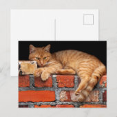 Ziegelmauer Postkarte (Vorne/Hinten)